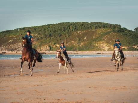 Sables d'Or Equitation