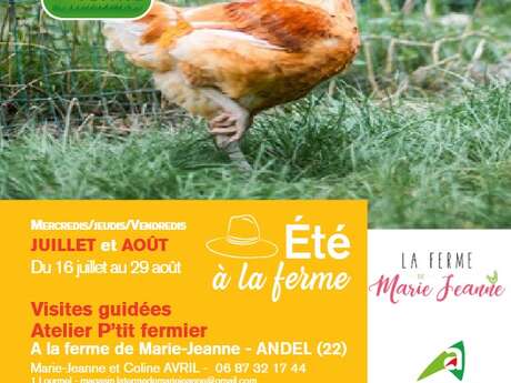 Animation à la ferme - "Petit fermier"