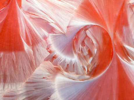 Mois de la Photo - Photo Club d’Erquy : Abstraction et Mini-séries