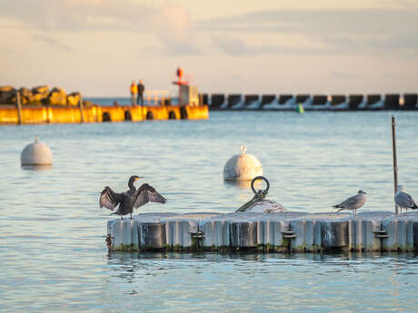 Visite photographique de Lesconil