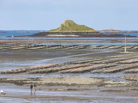 Port de Port Lazo et Bréhec