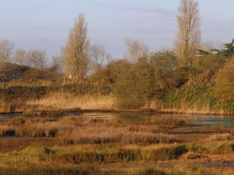 Polder de Combrit