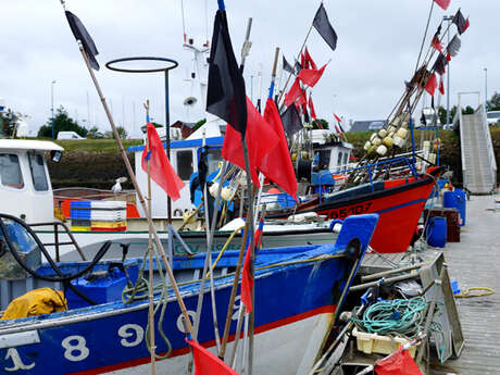 Port de pêche de Loctudy