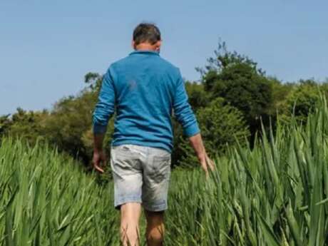 Exposition : Des racines et des voix