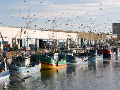 Balade autour du port de St-Guénolé