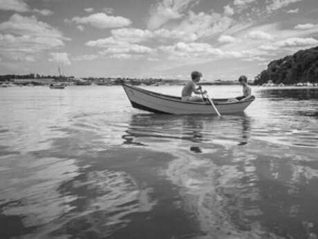 Exposition : Les Singes de la Vallée