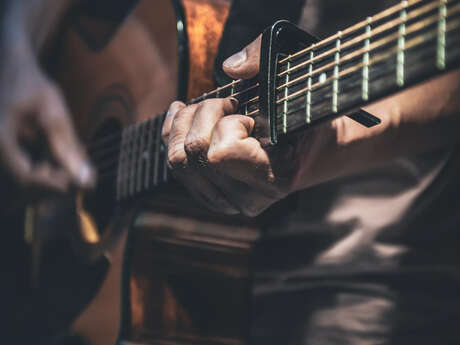 Concert folk rock