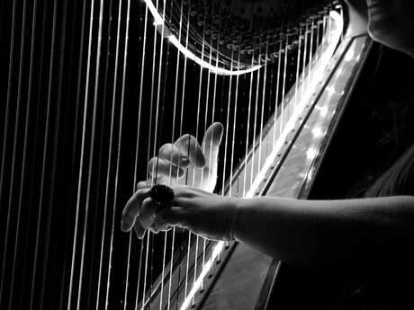 Concert de Nolwenn Arzel - Harpe celtique et guitare