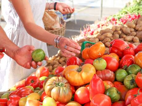 Marché de producteurs du samedi matin de Pouldreuzic