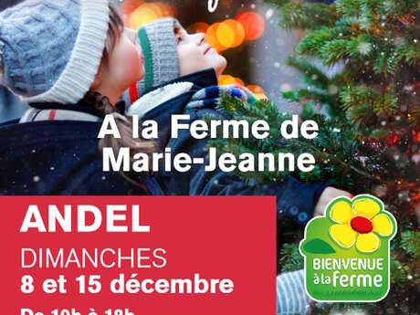 Marché de Noël à la ferme