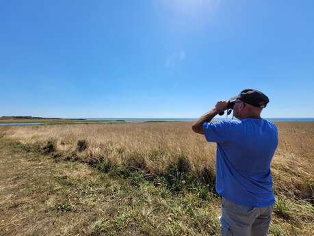 Sortie nature : Ecosystème plage Du 10 avr au 10 juil 2025