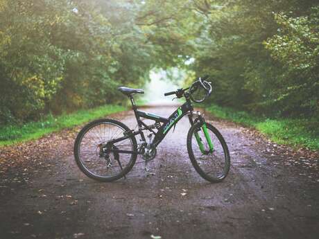 Randonnée VTT encadrée Randonnée VTT encadrée