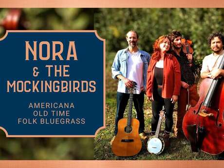 Concert de Norah and The Mockingbirds