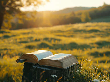 Festival théâtre biblique