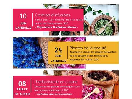 Créations d'infusion