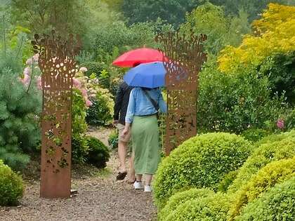 Visite Botanique Guidée Au Jardin Des Osmanthes