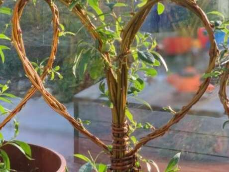 Stage de vannerie : Un atelier plein d'amour