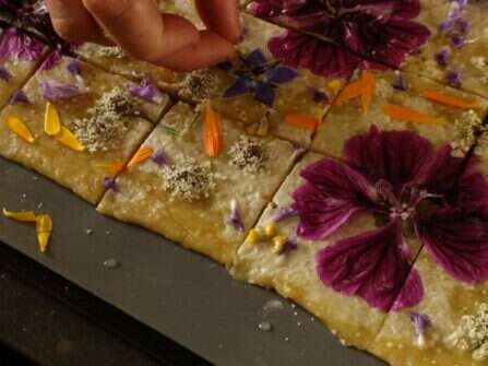 Le Banquet des souvenirs : atelier cartographie sensible