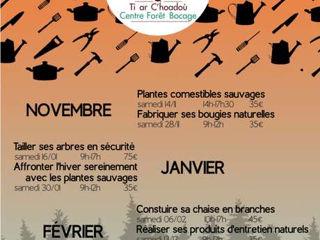 Plantes sauvages Plantes sauvages