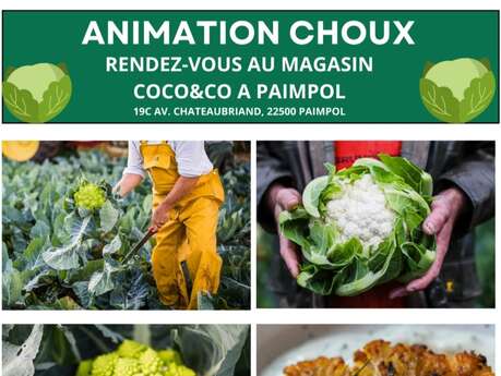 Animation : ChouChou mon amour