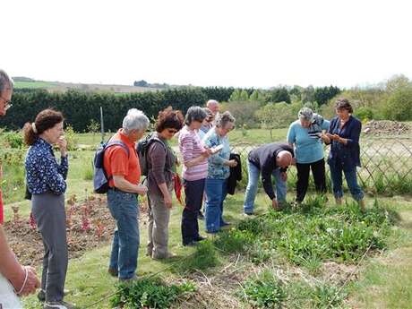 Balade botanique sur le GR34