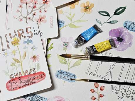 Ma petite botanique (une matinée ou une journée) – niveau intermédiaire