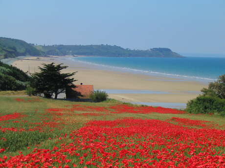 Plage de Saint-Pabu