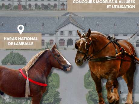 Concours National du Cheval Breton