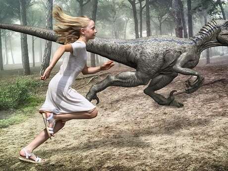 Quand les dinos font leur show !
