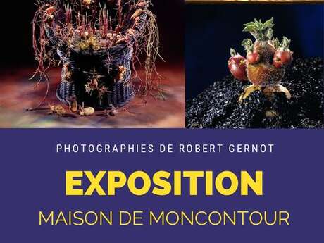 Exposition "Exubérance"