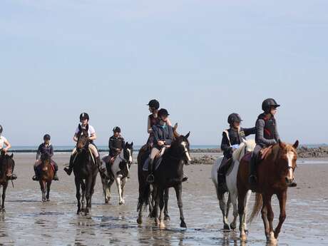 Centre Equestre de Bellevue