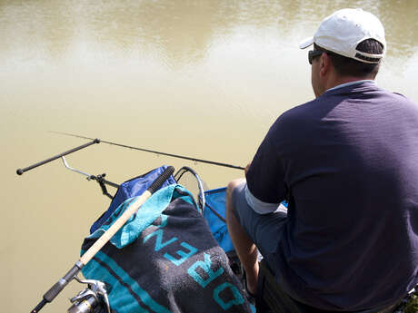 Stage technique pêche au coup