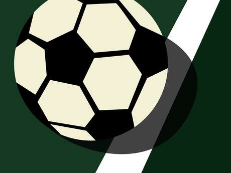 Futsal féminin : France vs Ukraine