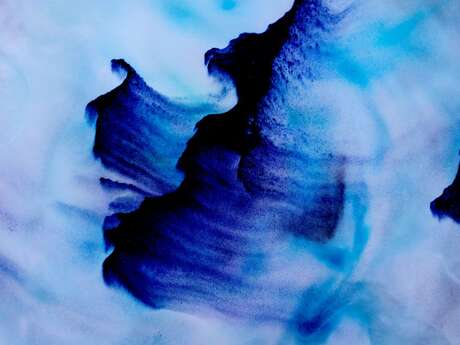 Atelier Cyanotype