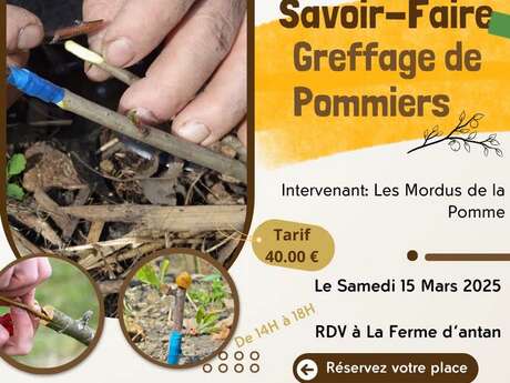 Stage "Greffage de pommiers"