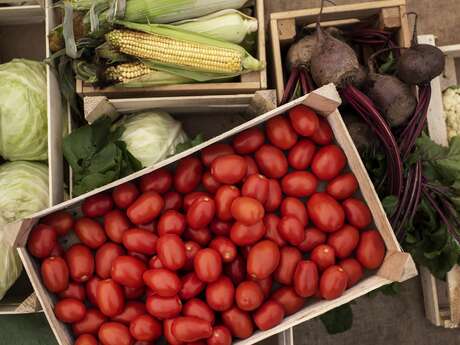 Marché du Clos de Trevannec - Producteurs locaux et créateurs