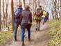 Promenade dans les bois en breton