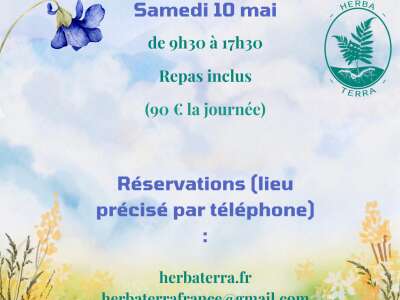 De l'herboristerie à l'assiette