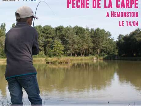 Stage initiation - pêche à la carpe