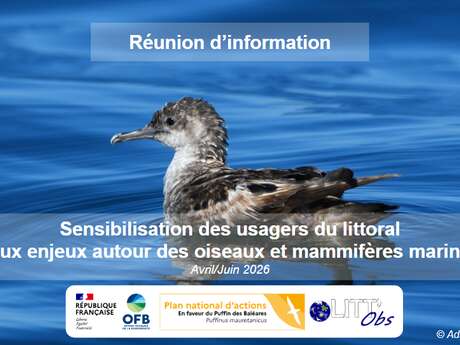 Réunion d'information - Oiseaux et Mammifères Marins