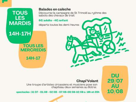 Balade en calèche