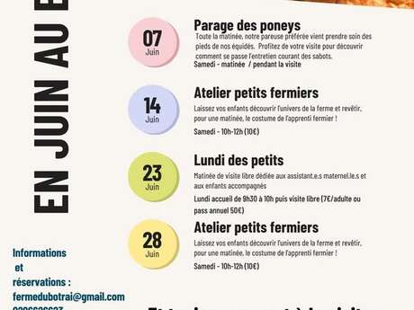 Parage des poneys