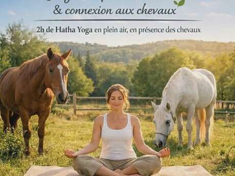 Yoga en pleine nature & connexion aux chevaux
