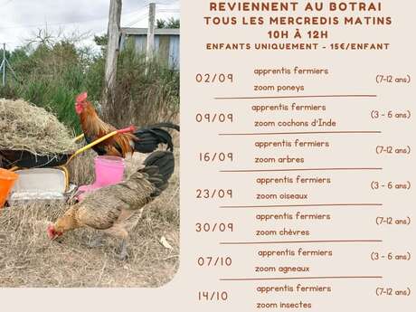 Les apprentis fermiers - Zoom poneys