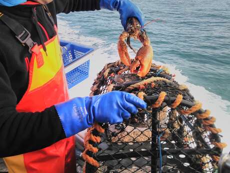 Produits de la Mer - L'intrépide