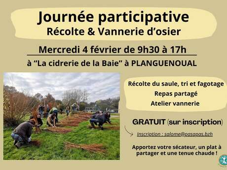 Récolte participative et vannerie d'osier