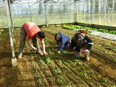 STESF : Visite libre de l'Entreprise Adaptée "la ferme la villeneuve"