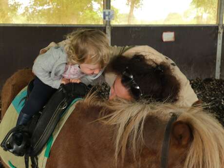 Papouilles poneys en famille