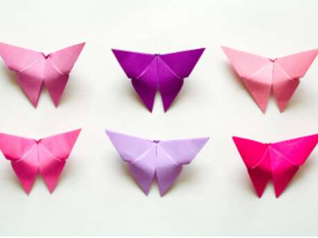Opération papillon de jour