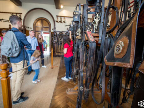 STESF : Visite de la sellerie d'honneur du Haras et de la sellerie Lefeuvre